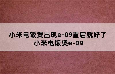 小米电饭煲出现e-09重启就好了 小米电饭煲e-09